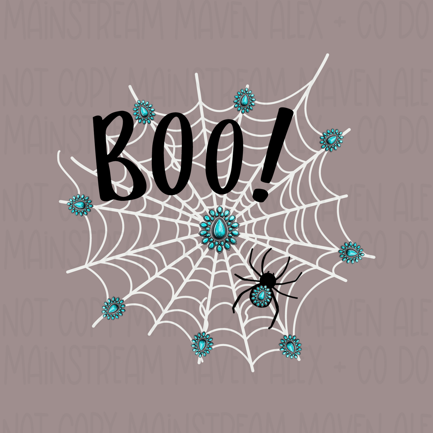 Turquoise Spider Web PNG